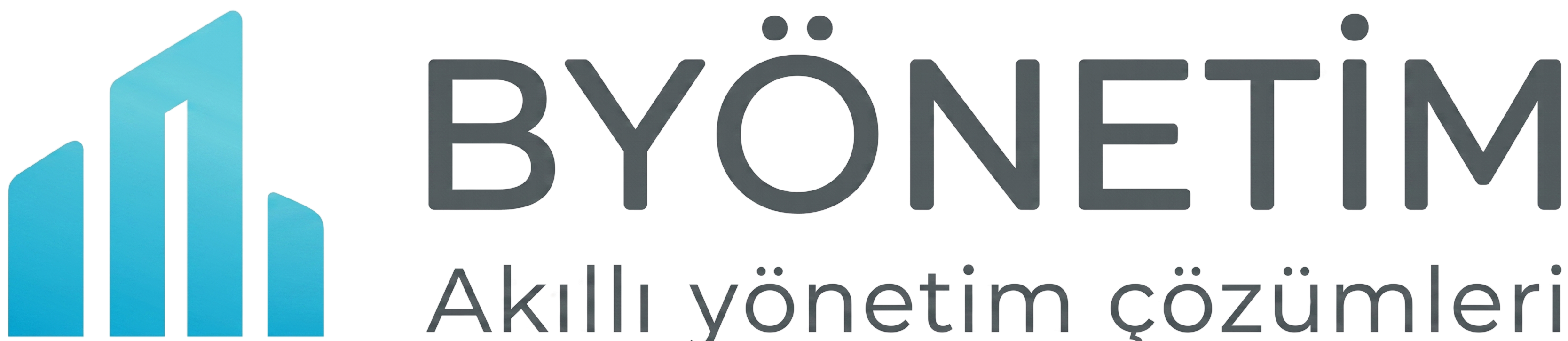 BYönetim